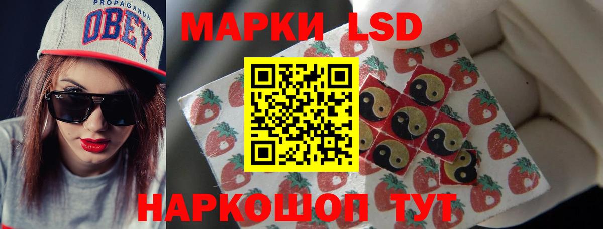 ЛСД экстази кислота  LSD-25 экстази кислота  Вход с VPN  Черногорск 