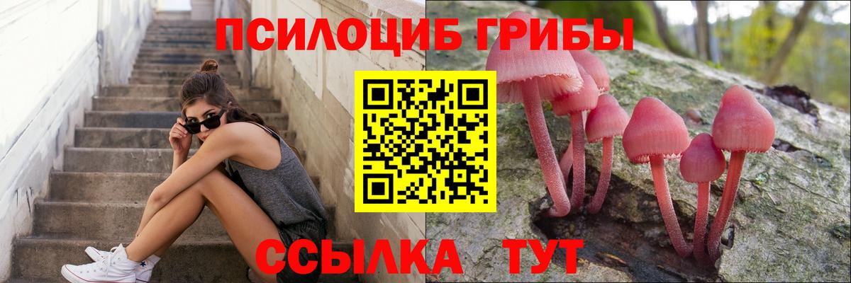Псилоцибиновые грибы Cubensis  где найти   Вход с VPN  Черногорск  Галлюциногенные грибы мицелий 