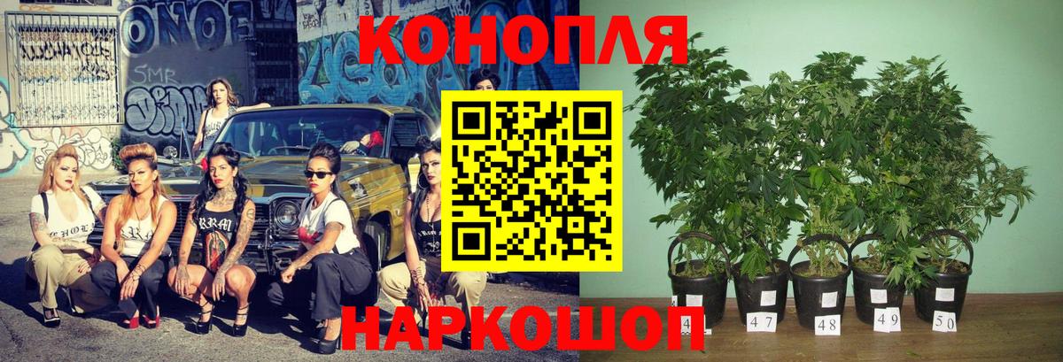 Конопля гибрид  Вход с VPN  Черногорск  Шишки марихуана VHQ 